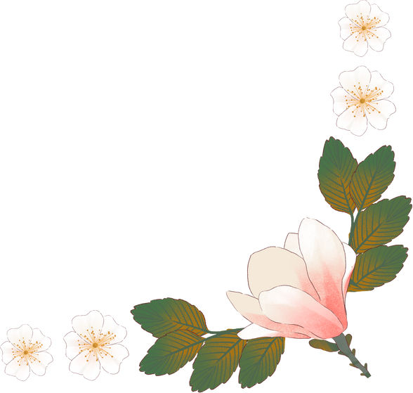 Soft Painting Magnolia Flower Corner Border Element